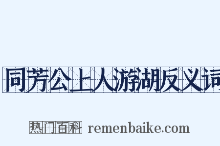 同芳公上人游湖反义词是什么意思的图片